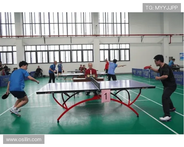 南京乒乓球队的训练与备战揭秘展现乒乓球的魅力与激情