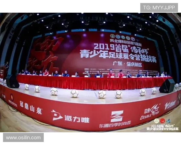南京足球队挑战赛特别报道：从低谷到巅峰的奋斗与荣耀之路