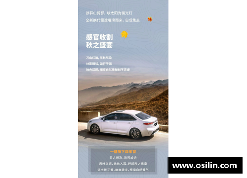 阿尔法罗特：探索未知的智能世界