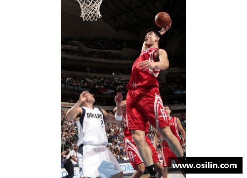 白人NBA球星：探索成功背后的智慧与奋斗