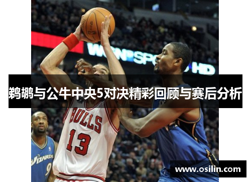 鹈鹕与公牛中央5对决精彩回顾与赛后分析